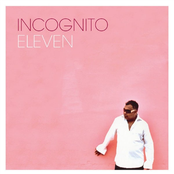 Let The Mystery Be by Incognito