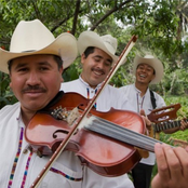 Trio Chicamole Son Huasteco