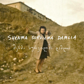 Shenma Survilma Damlia