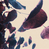 we can rust the world into the dust of the universe