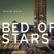 The Wishbone by Bed Of Stars