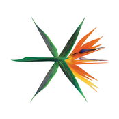 Exo: The War - The 4th Album