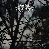 Acceptance & Last cry