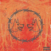 Erase Me: SHOW YOUR TEETH