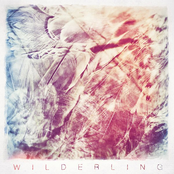 Wilderling