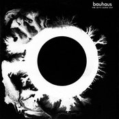 Album cover for The Sky's Gone Out, by Bauhaus
