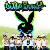 2PM Wild Bunny [20090825]