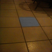 Lab Bear In'th Side Me