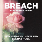 Everything You Never Had (We Had It All)