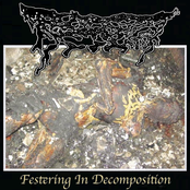 Festering In Decomposition