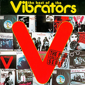 The Best of The Vibrators