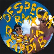 Album art for DESPECHÁ RMX