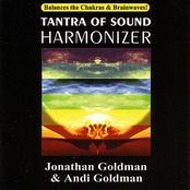 Tantra Of Sound Harmonizer