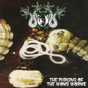 Bowel Disembowelment / The Purging Of The Womb Worms