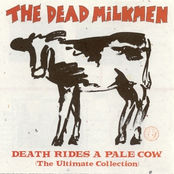 The Thing That Only Eats Hippies by The Dead Milkmen