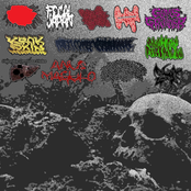 Bubbling Gorenoise Digital Compilation