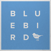 Bluebird - Single