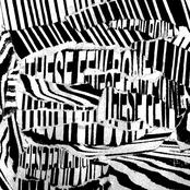 These Few Bones
