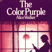 the colour purple