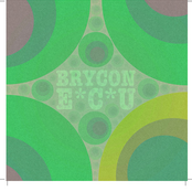 brycon