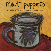 Meat Puppets: Up on the Sun