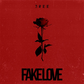 Fake Love