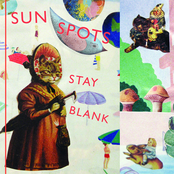 Stay Blank