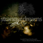 stranger dreams