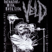 Infested With Rats Life