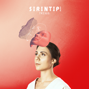 Sirintip: Tribus