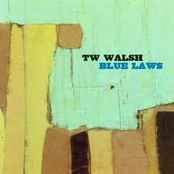 Kudos For The Player by Tw Walsh