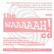 the WAAAAAH! cd