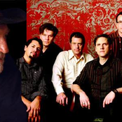 willie nelson & calexico