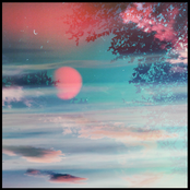 Finding Stillness II