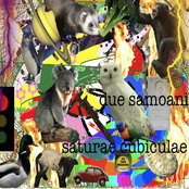 Saturae Cubiculae