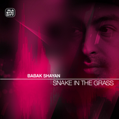 Snake In The Grass