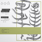 Heteroticisms Volume 2: Scattered Purgatory / Eolomea