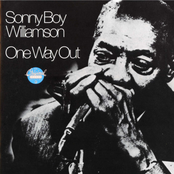 Work With Me by Sonny Boy Williamson