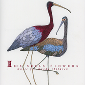 Iris Sells Flowers: Music for Moody Children