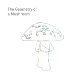 The Geometry of a Mushroom