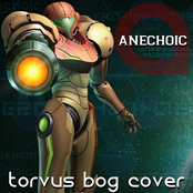 Torvus Bog (Metroid Prime 2: Echoes Cover)