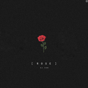 R O S E