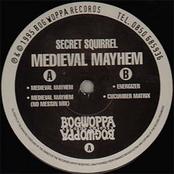 Medieval Mayhem