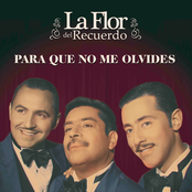 Para Que No Me Olvides