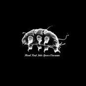 Head First Into Space Vacuum