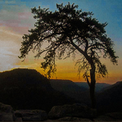 Massey Lane: Frontier