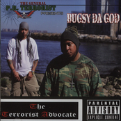 The Terrorist Advocate