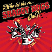 Who Let The Shaggy Dogs Out