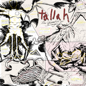 Tallah: The Generation Of Danger