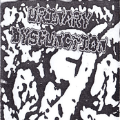 Urinary Dysfunction/Bacteriophagia